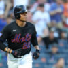 Juan Soto llega a 33 jonrones y los Mets derrotan 19-9 a los Marlins