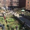 Mamdani vs. el Jardín de la Calle Elizabeth; NY salva un jardín urbano amenazado por su plan de viviendas
