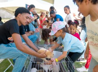 Sanut anuncia segunda edición navideña de “A la granja, sin salir de la ciudad”
