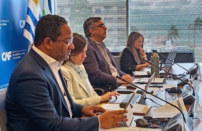 República Dominicana asumirá una vicepresidencia del Comité de Discapacidad de la OEA