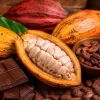 Día Mundial del Cacao y su precio ronda 5,600 dólares la tonelada