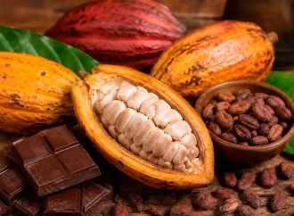 Día Mundial del Cacao y su precio ronda 5,600 dólares la tonelada